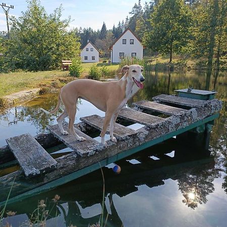 Villa Klidna Lokalita Na Kraji Lesa, Cely Dum S Uschovnu Kol Nová Bystřice Exterior foto