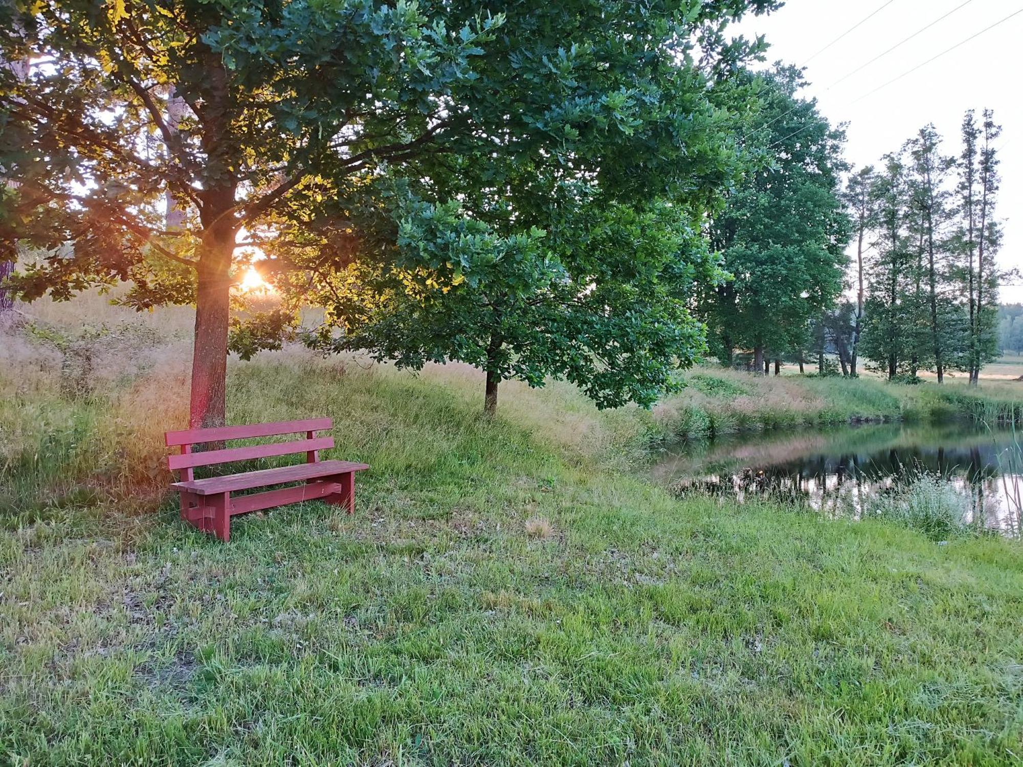 Villa Klidna Lokalita Na Kraji Lesa, Cely Dum S Uschovnu Kol Nová Bystřice Exterior foto