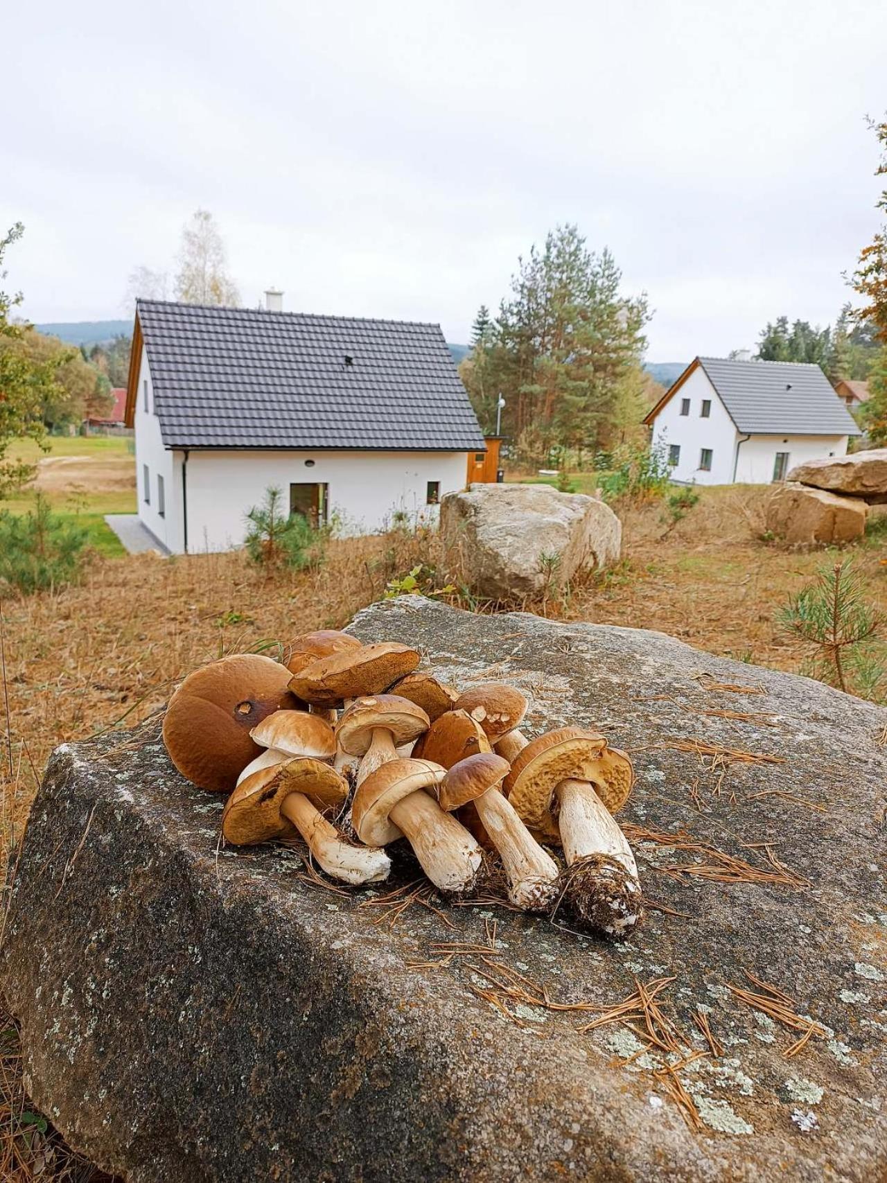Villa Klidna Lokalita Na Kraji Lesa, Cely Dum S Uschovnu Kol Nová Bystřice Exterior foto